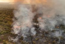 Foto: Perú en alerta /cortesía