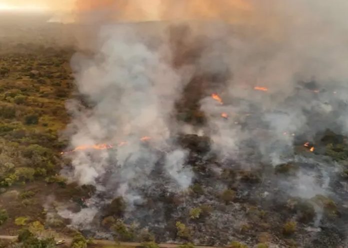 Foto: Perú en alerta /cortesía