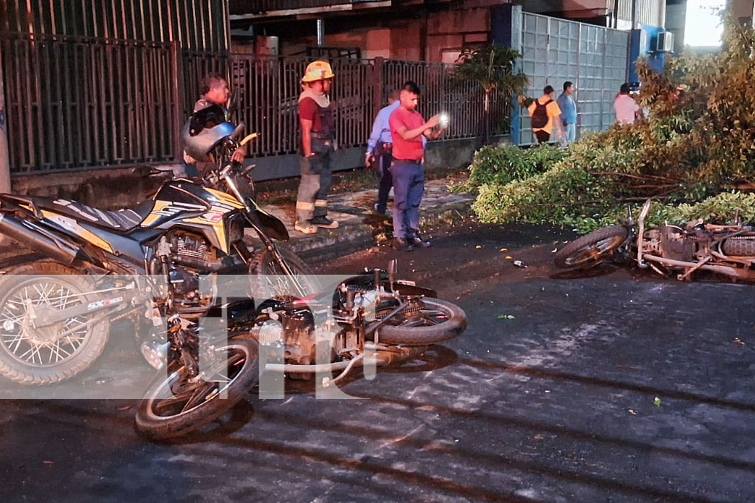 Foto: Tres motociclistas accidentados tras la caída de un árbol en plena vía pública en Managua/TN8