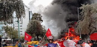 Foto: Crecen las manifestaciones en Martinica por altos precios de los alimentos / Cortesía