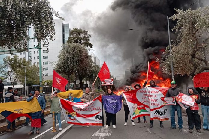 Foto: Crecen las manifestaciones en Martinica por altos precios de los alimentos / Cortesía