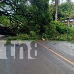 Foto: Autoridades actúan rápidamente ante incidentes de lluvias en Rivas/TN8