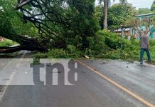 Foto: Autoridades actúan rápidamente ante incidentes de lluvias en Rivas/TN8