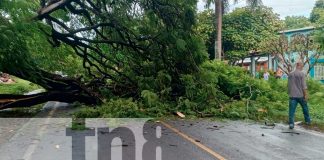 Foto: Autoridades actúan rápidamente ante incidentes de lluvias en Rivas/TN8