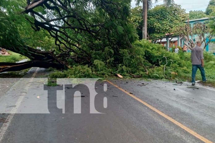 Foto: Autoridades actúan rápidamente ante incidentes de lluvias en Rivas/TN8