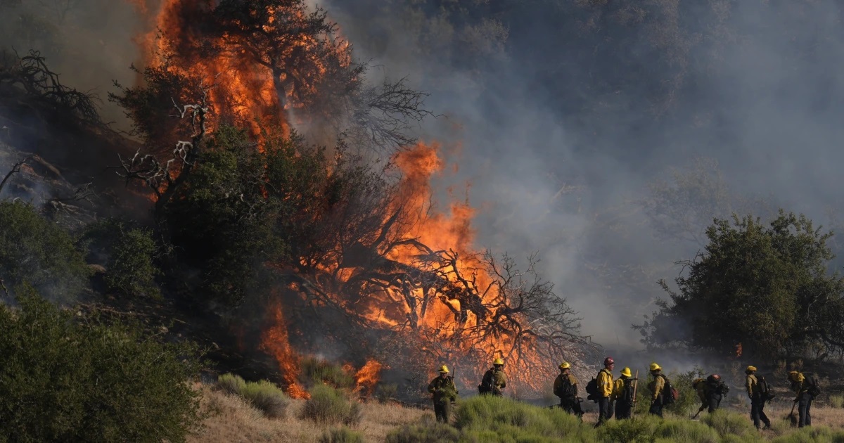 Foto: Incendio "Bridge" arrasa 33 casas y causa evacuaciones en Los Ángeles