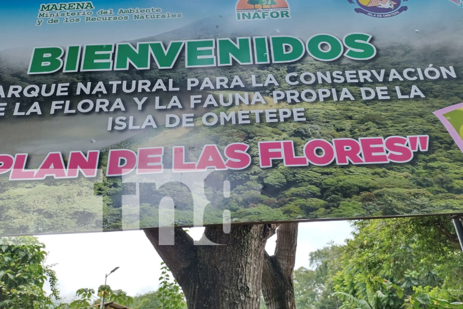 Foto: El volcán Maderas posee una laguna en su cráter ¡Un tesoro turístico de Ometepe!/TN8