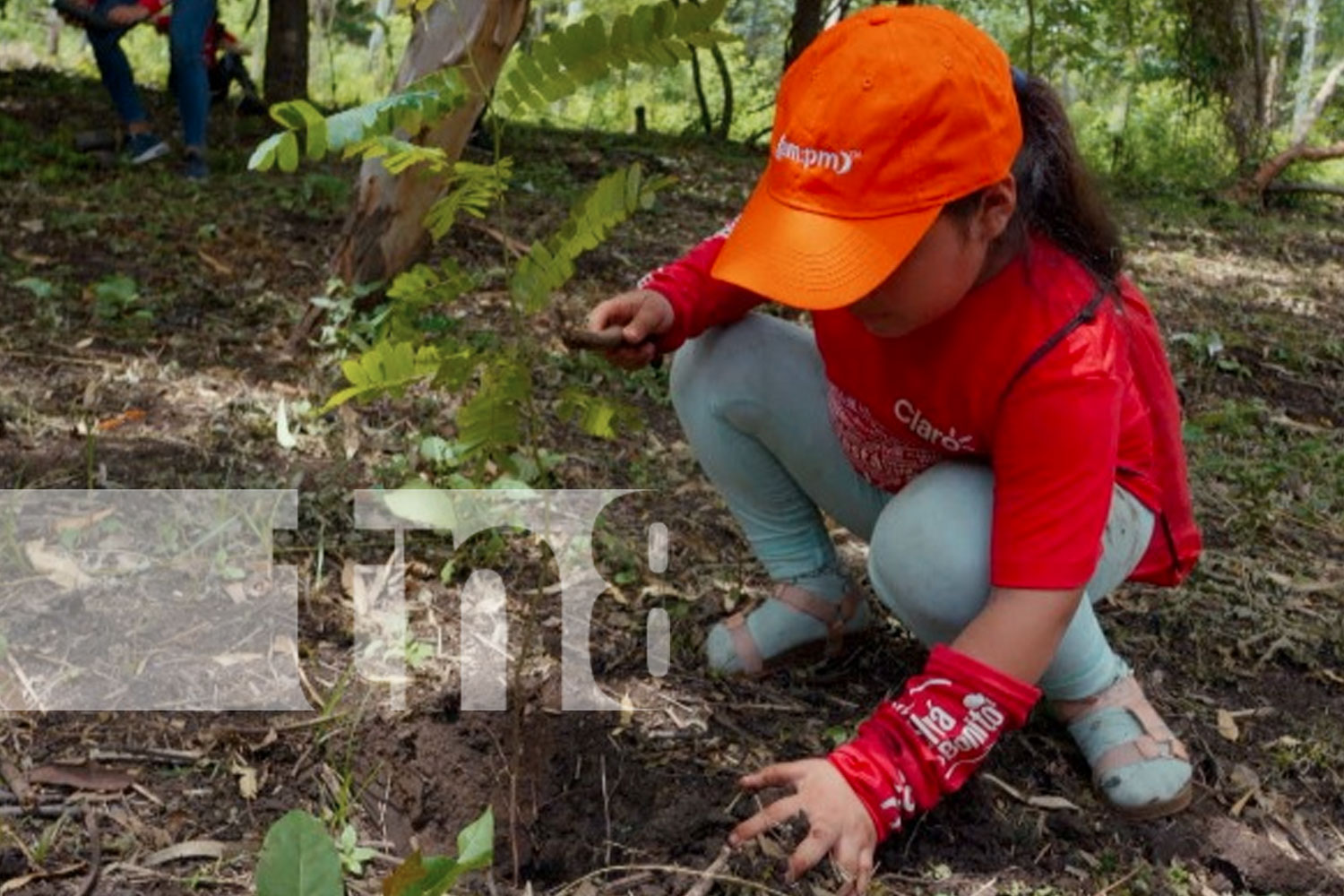 Foto: Claro Nicaragua realiza jornada de reforestación/TN8