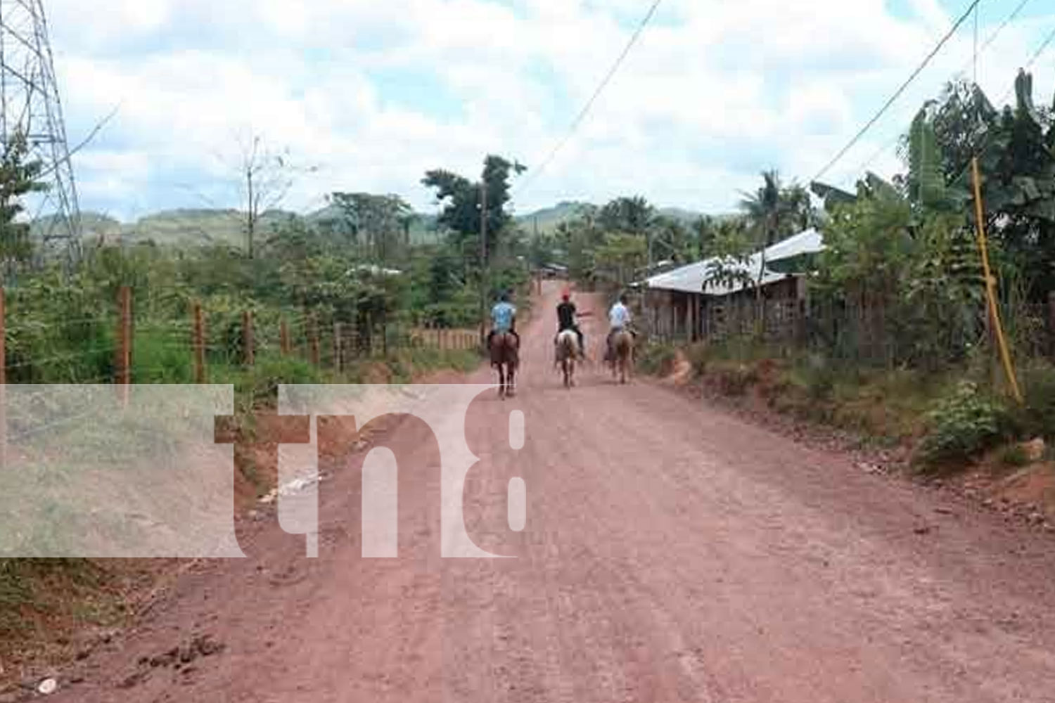 Foto: Camión recolector de leche en el sector de Coperna a Silvi, Siuna/TN8