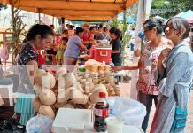 Foto: Matagalpa celebra la Feria Nacional del Maíz con gran éxito cultural y gastronómico/TN8