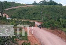 Foto: Camión recolector de leche en el sector de Coperna a Silvi, Siuna/TN8