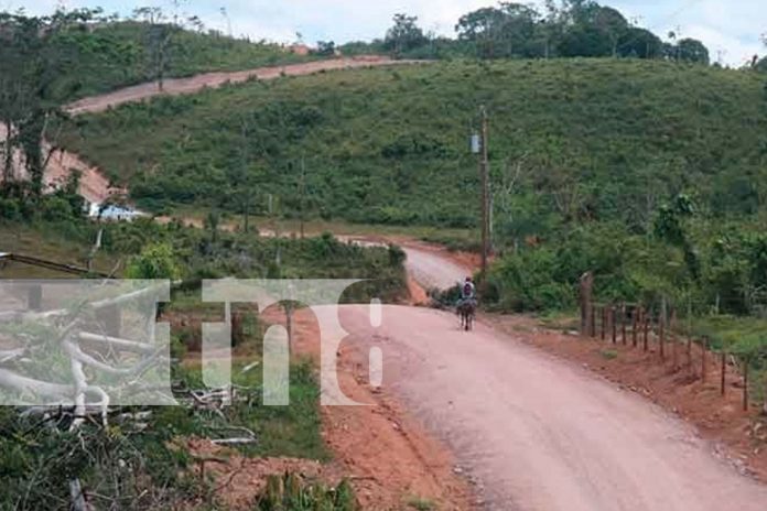 Foto: Camión recolector de leche en el sector de Coperna a Silvi, Siuna/TN8