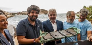 foto:Restos de un Barco Fenicio