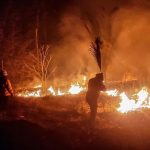 Foto: Bolivia declara emergencia nacional por incendios forestales en 72 comunidades