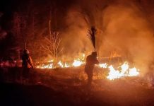 Foto: Bolivia declara emergencia nacional por incendios forestales en 72 comunidades