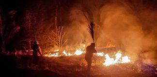 Foto: Bolivia declara emergencia nacional por incendios forestales en 72 comunidades