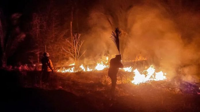 Foto: Bolivia declara emergencia nacional por incendios forestales en 72 comunidades