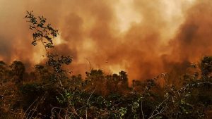 Foto: Bolivia declara emergencia nacional por incendios forestales en 72 comunidades