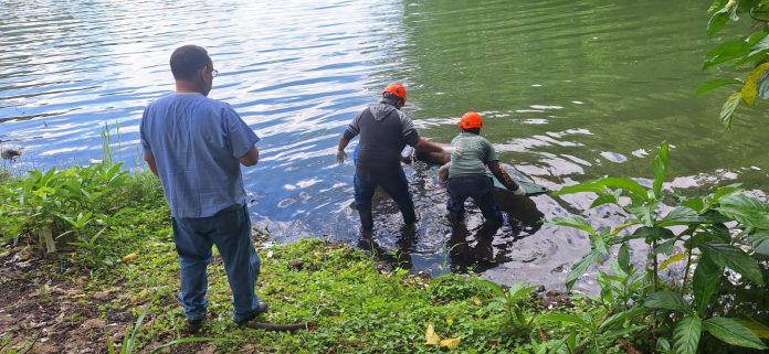 Foto: Hallazgo de cuerpo en estado de descomposición en la Laguna de Masaya