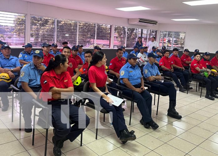 Foto: Curso para bomberos sobre rescate en cuerdas / TN8