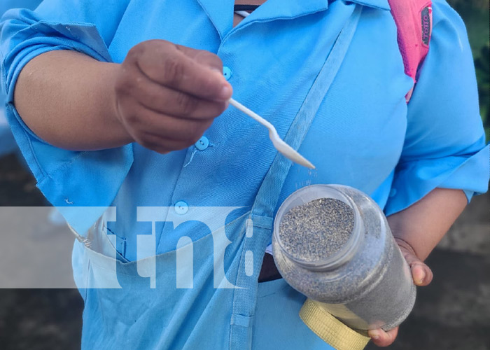 Foto: MINSA continúa labores para disminución de casos de dengue en Nicaragua / TN8