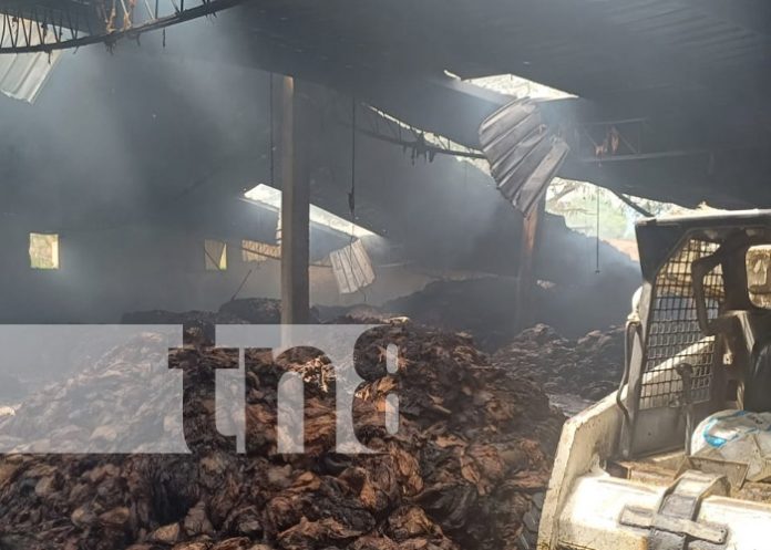 Foto: Incendio masivo en una fábrica de puros en Estelí / TN8