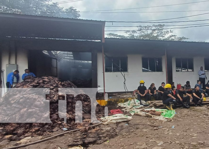 Foto: Incendio masivo en una fábrica de puros en Estelí / TN8