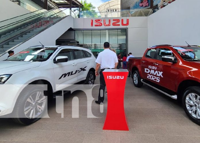 Foto: Nuevo Showroom de Isuzu en Galerías Santo Domingo / TN8