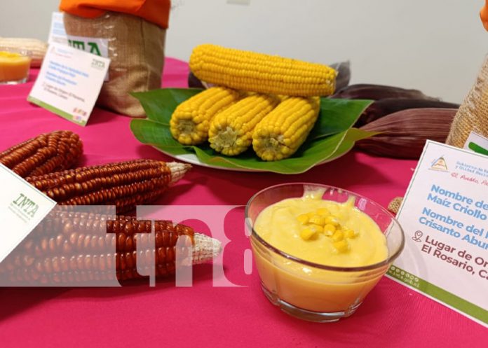 Foto: INTA desarrolla encuentro con productores por el Día Nacional del Maíz / TN8