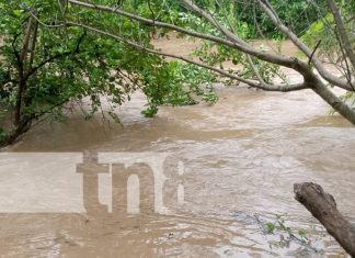 Foto: Afectaciones por lluvias en el norte de Chinandega / TN8