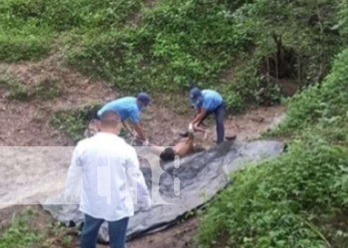 Foto: Cuerpo en estado de descomposición hallado en Ciudad Antigua, Nueva Segovia / TN8