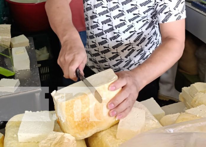 Foto: Queso y productos lácteos a buen precio en el Mercado Iván Montenegro / TN8