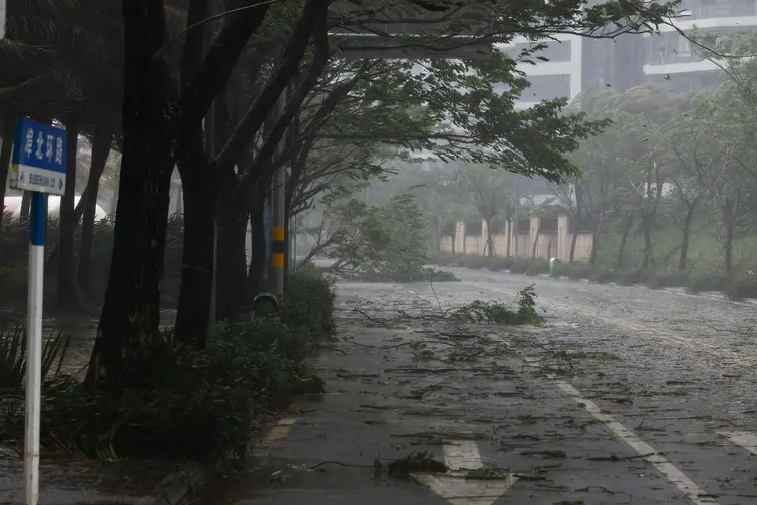 Foto: China y otros países afectados /Cortesía