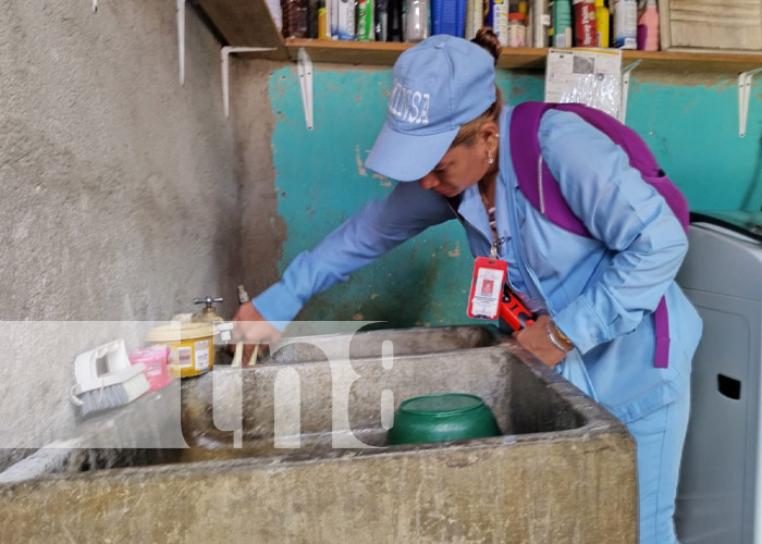 Foto: Eliminación de zancudos en barrios de Managua / TN8