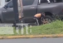 Foto: Chavalos andan robando en semáforos de Masaya /TN8