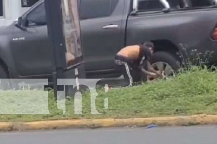 Foto: Chavalos andan robando en semáforos de Masaya /TN8