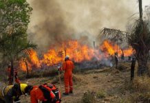 Foto: Desastre ambiental en Bolivia /cortesía