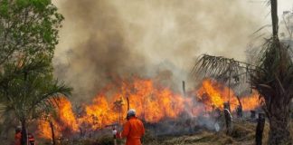 Foto: Desastre ambiental en Bolivia /cortesía