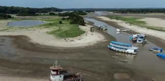 Foto: El río Amazonas en peligro /cortesía