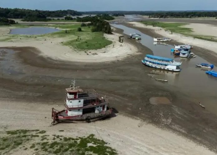 Foto: El río Amazonas en peligro /cortesía