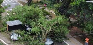 Foto: Lluvias en Brasil /cortesía