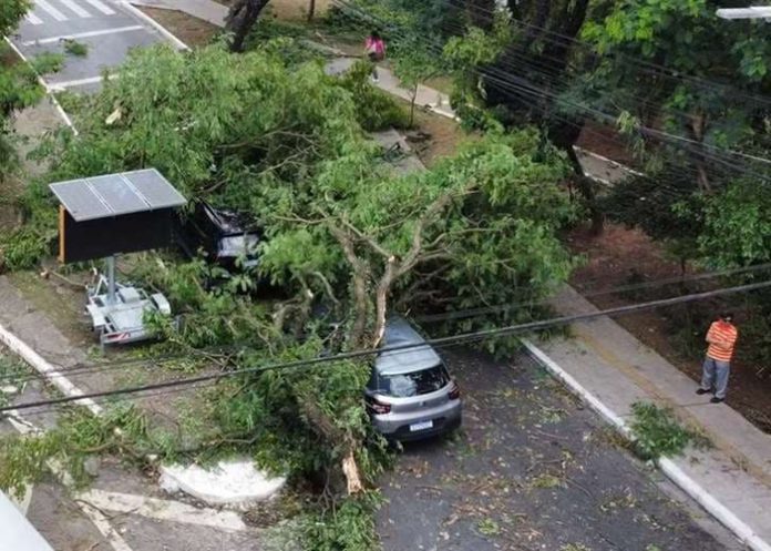 Foto: Lluvias en Brasil /cortesía