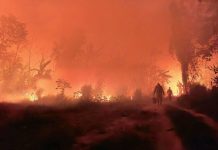 Foto: Incendios forestales en Bolivia devastan 9,8 millones de hectáreas