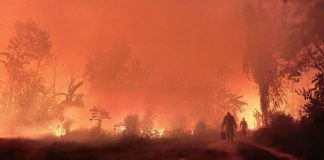 Foto: Incendios forestales en Bolivia devastan 9,8 millones de hectáreas