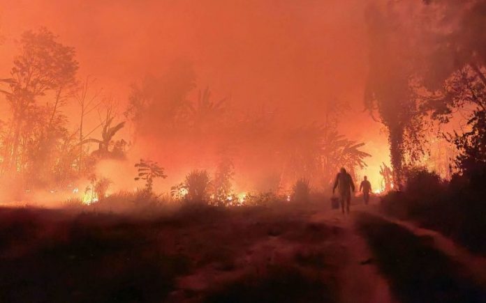 Foto: Incendios forestales en Bolivia devastan 9,8 millones de hectáreas