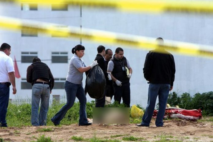 Foto: Encuentran cadáveres de cinco hombres en México /Cortesía