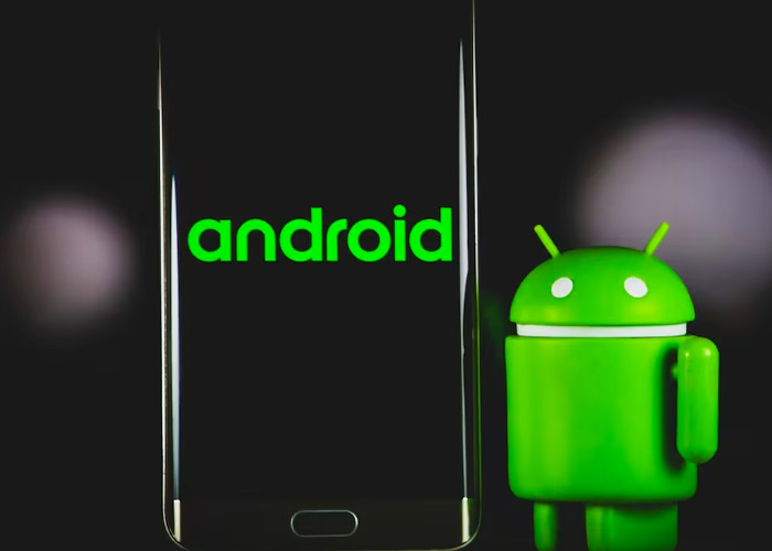 Foto: Android 15 ha comenzado oficialmente su despliegue/Cortesía