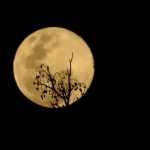 Foto: Espectáculo de superluna /cortesía