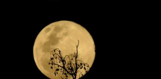 Foto: Espectáculo de superluna /cortesía