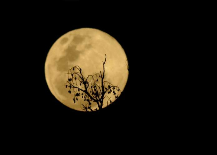 Foto: Espectáculo de superluna /cortesía